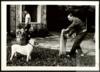 Germán Delibes de Castro  observa a Miguel Delibes Setién jugando con un perro en su casa de Seda...
