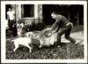 Germán Delibes de Castro  observa a Miguel Delibes Setién jugando con un perro en su casa de Seda...